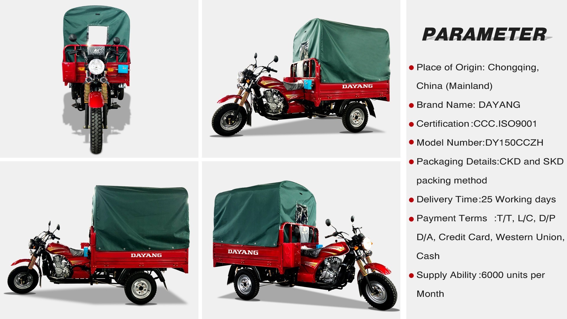 DY-P1B New stylish and durable selling tricycle motor cargo tricycle in indonesia petrol gasoline motorized cargo tricycles