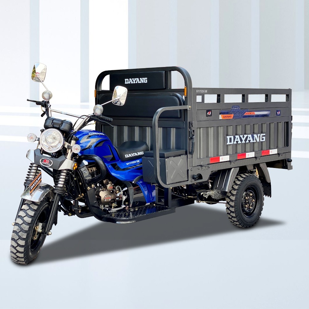 150cc/200cc/250cc Water/Air Cooled Strong Hot-Selling Rear Axle Heavy Duty Load Tricycle (SL200ZH-C)