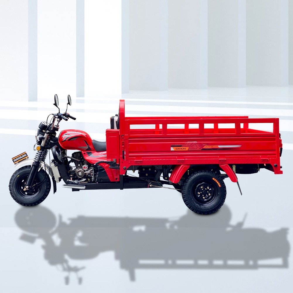 250CC 3 Wheel Cargo Motorcycle for Adult