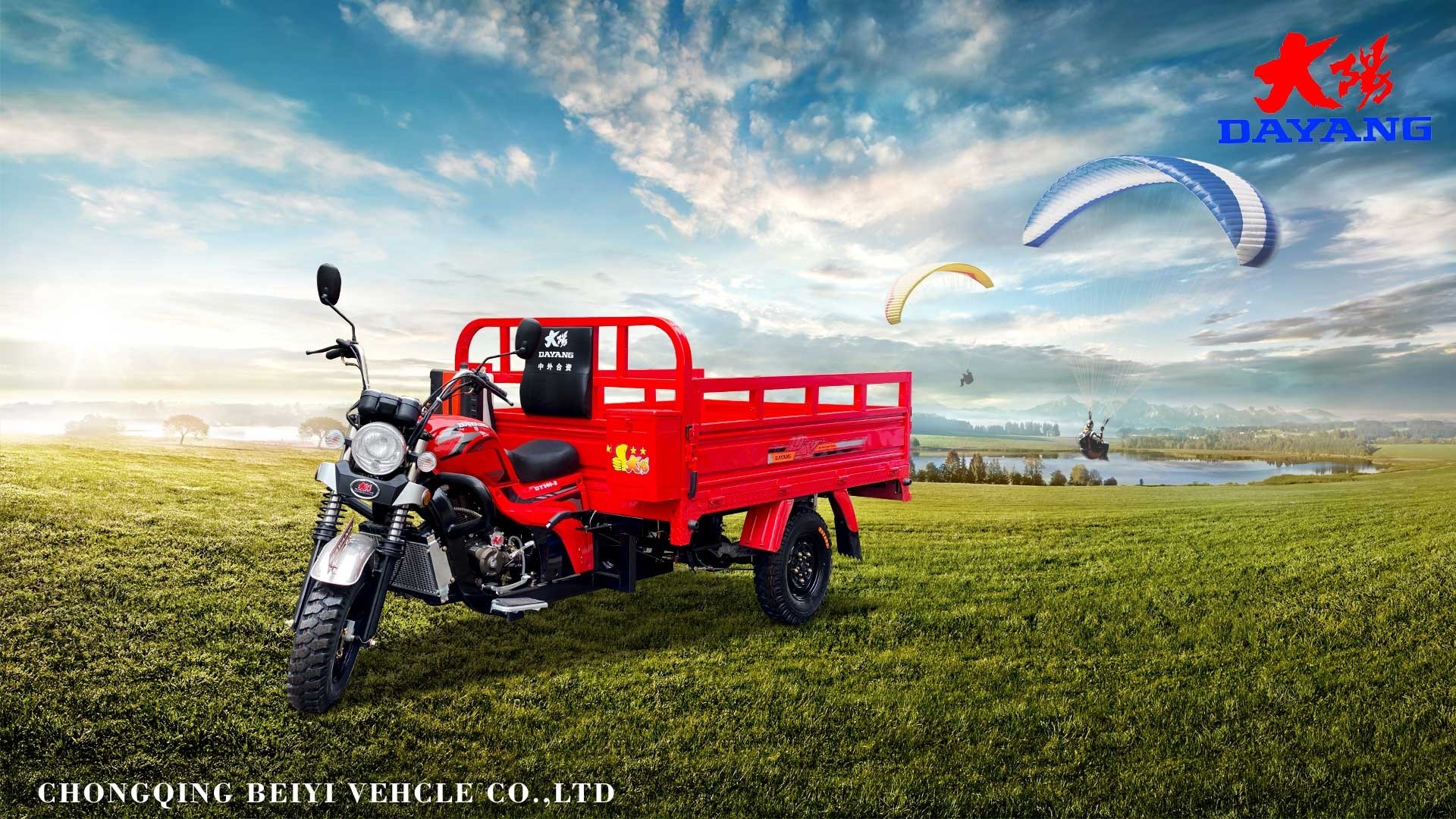 DY-Z2B Classical and heavy loading models with zongshen 200CC powerful engine