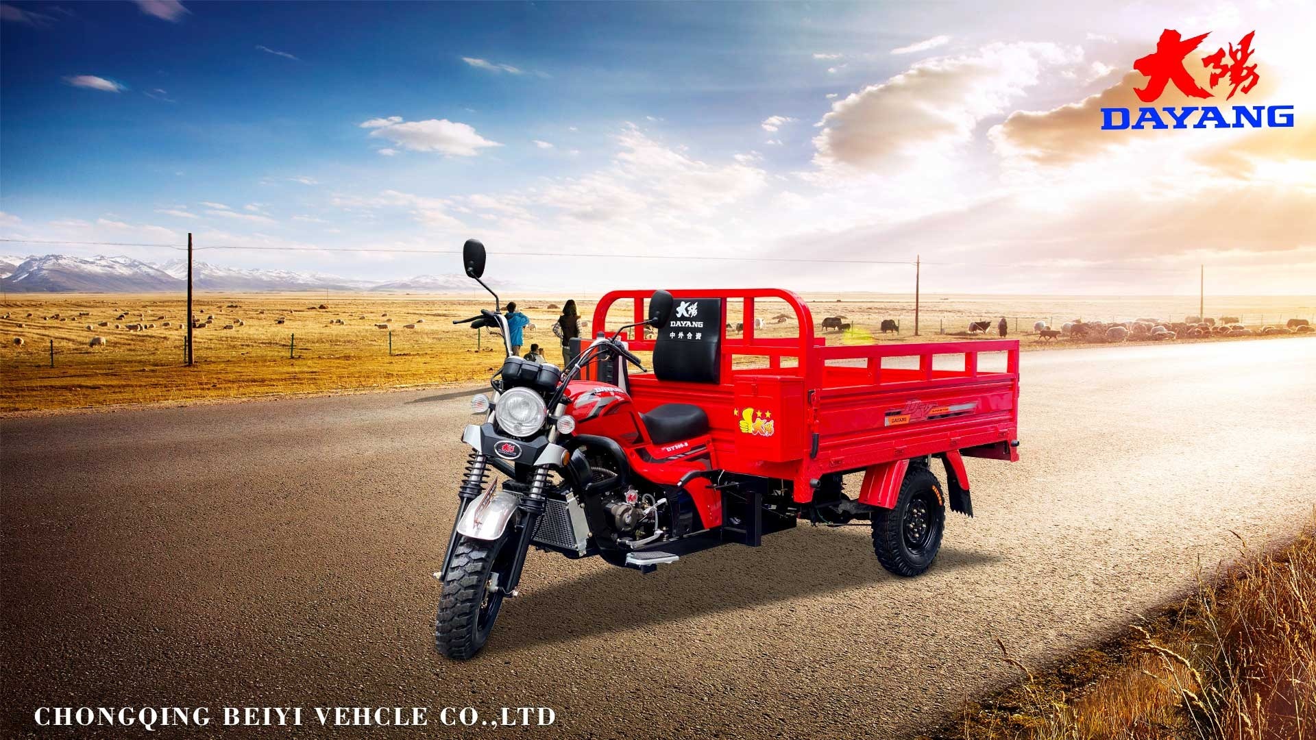 DY-Z2B Classical and heavy loading models with zongshen 200CC powerful engine
