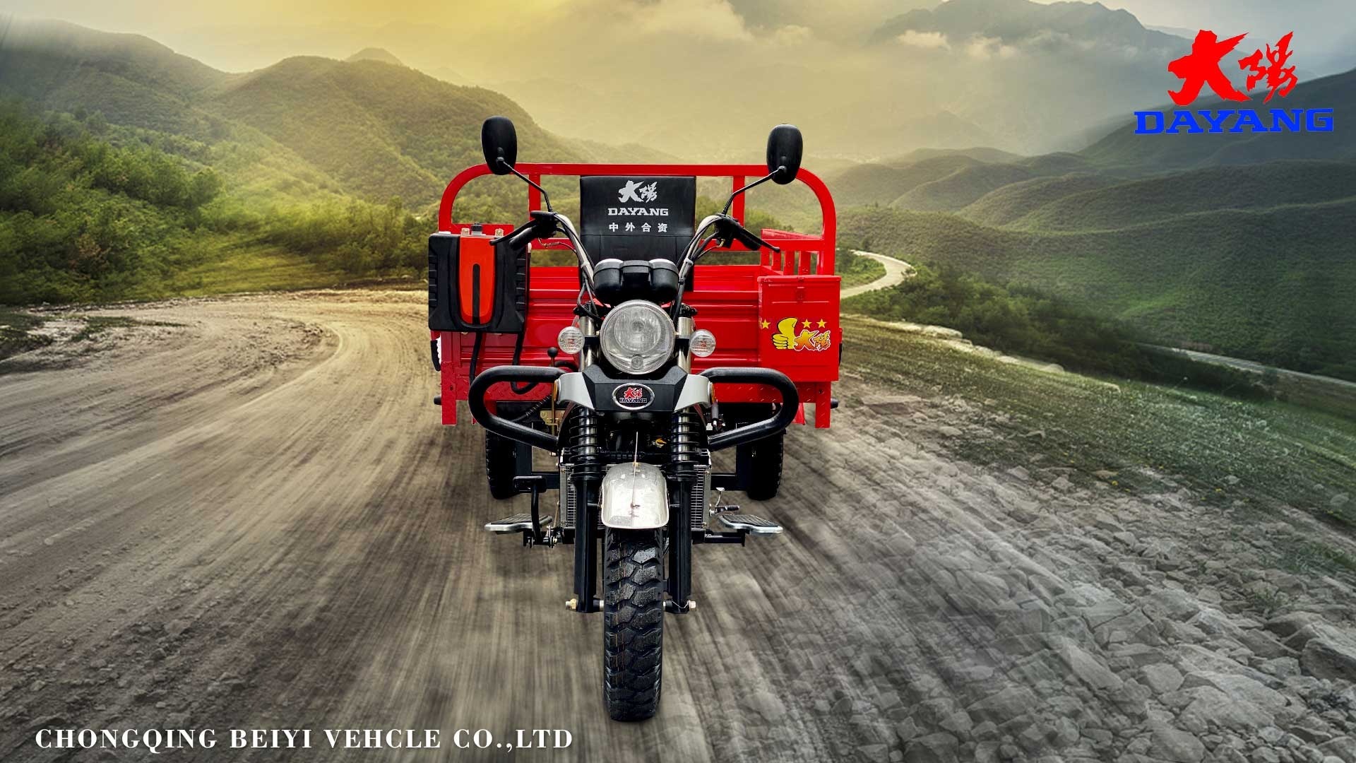 DY-Z2B Classical and heavy loading models with zongshen 200CC powerful engine