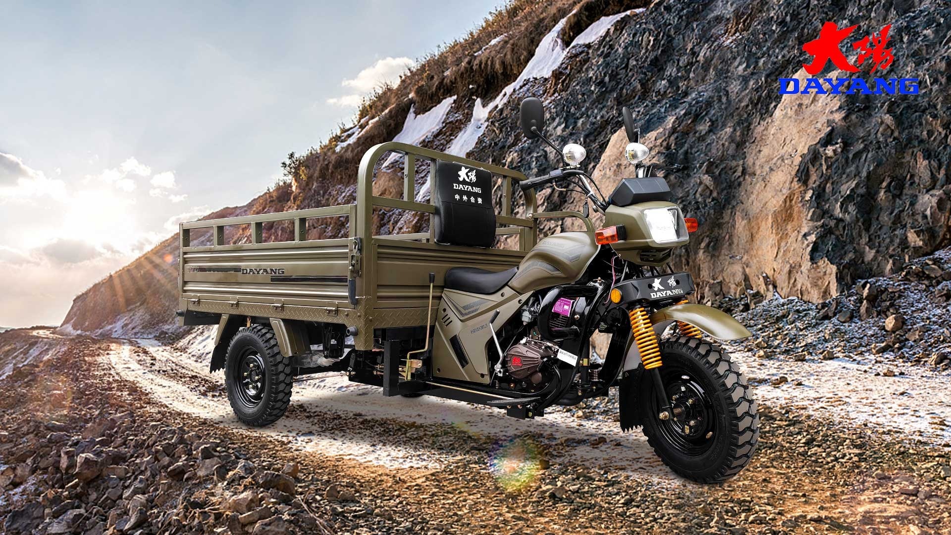 Three Wheel Pedal Cargo Motorcycle