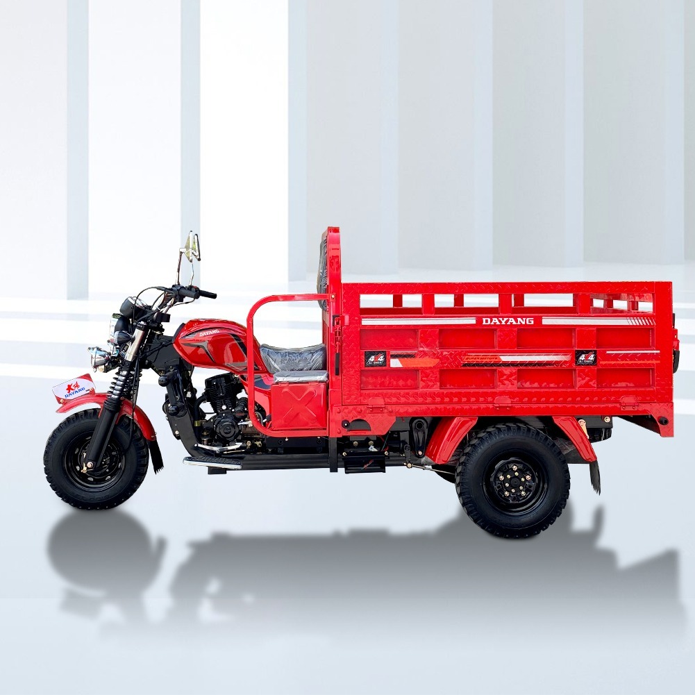 DY-KT1 200CC hot selling and popular cargo tricycle models