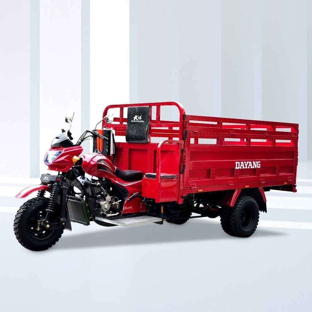 China factory brand new Stability cargo 250cc cargo motorcycle tricycle cargo motor trike