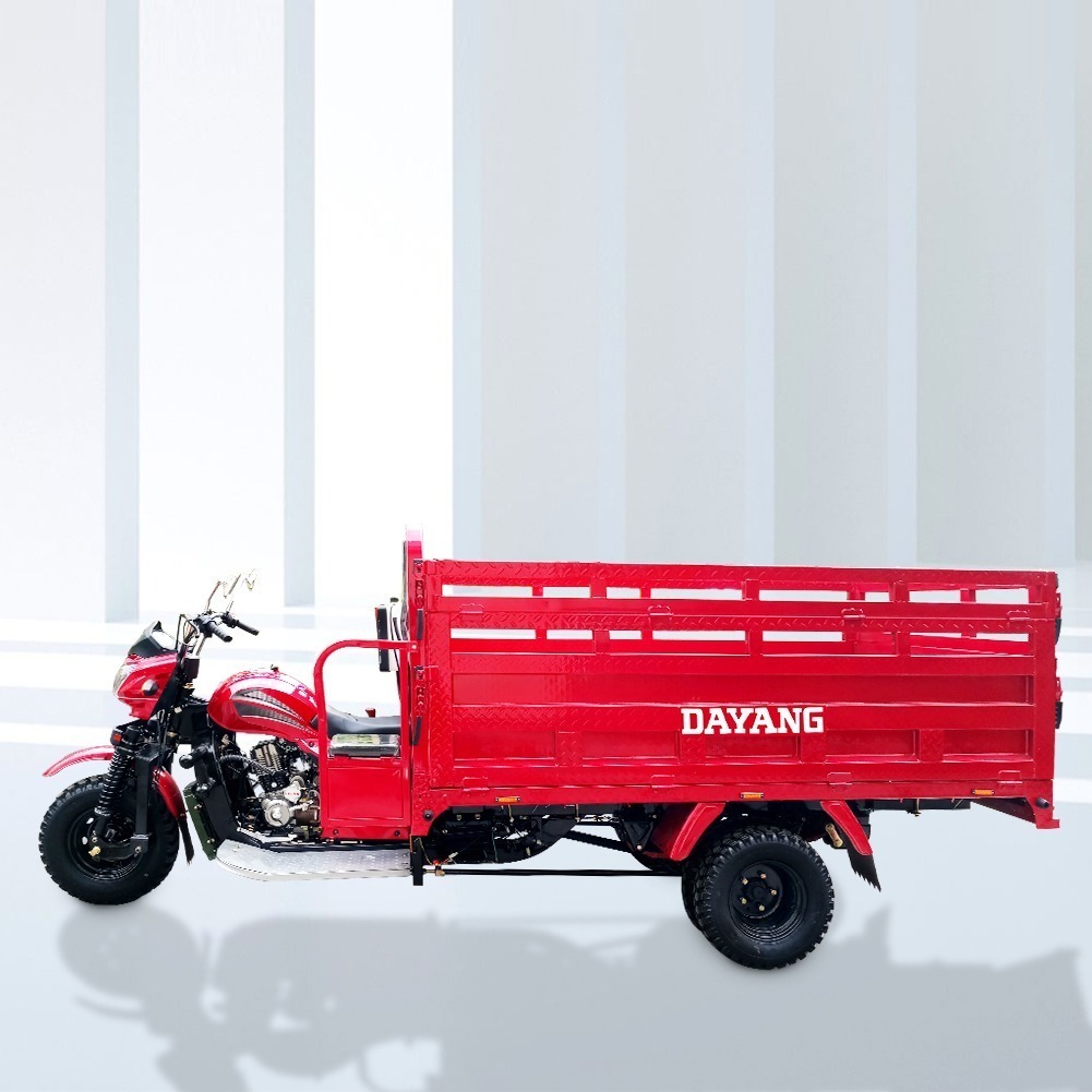 DAYANG OEM High quality 350cc cargo motorcycle tricycle Motorized Three Wheel Cargo Motorcycle