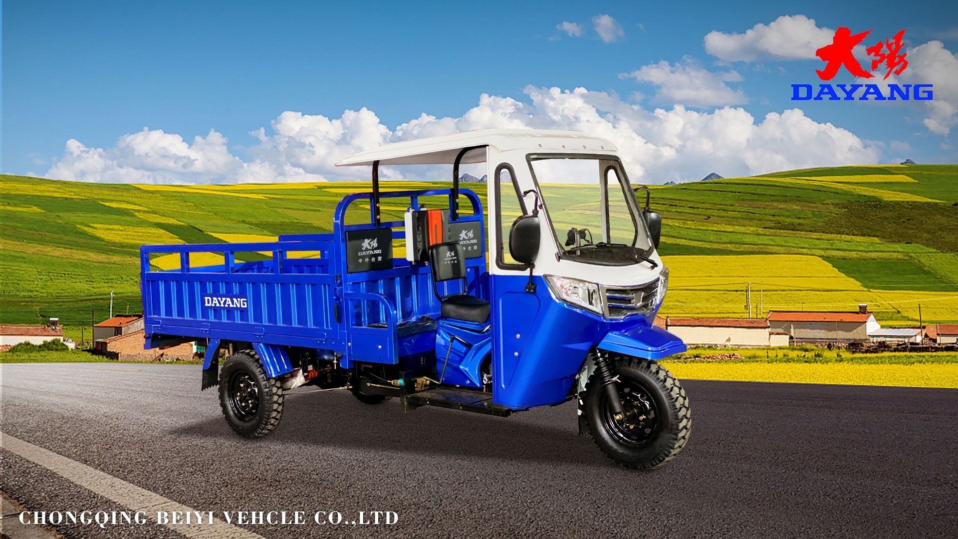 three wheel motor trike tipper