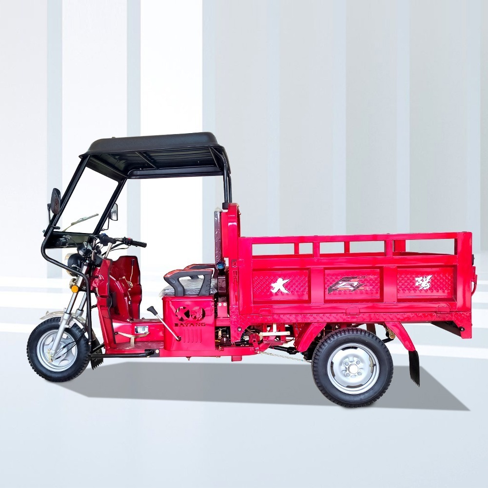 three wheeler cargo tipper