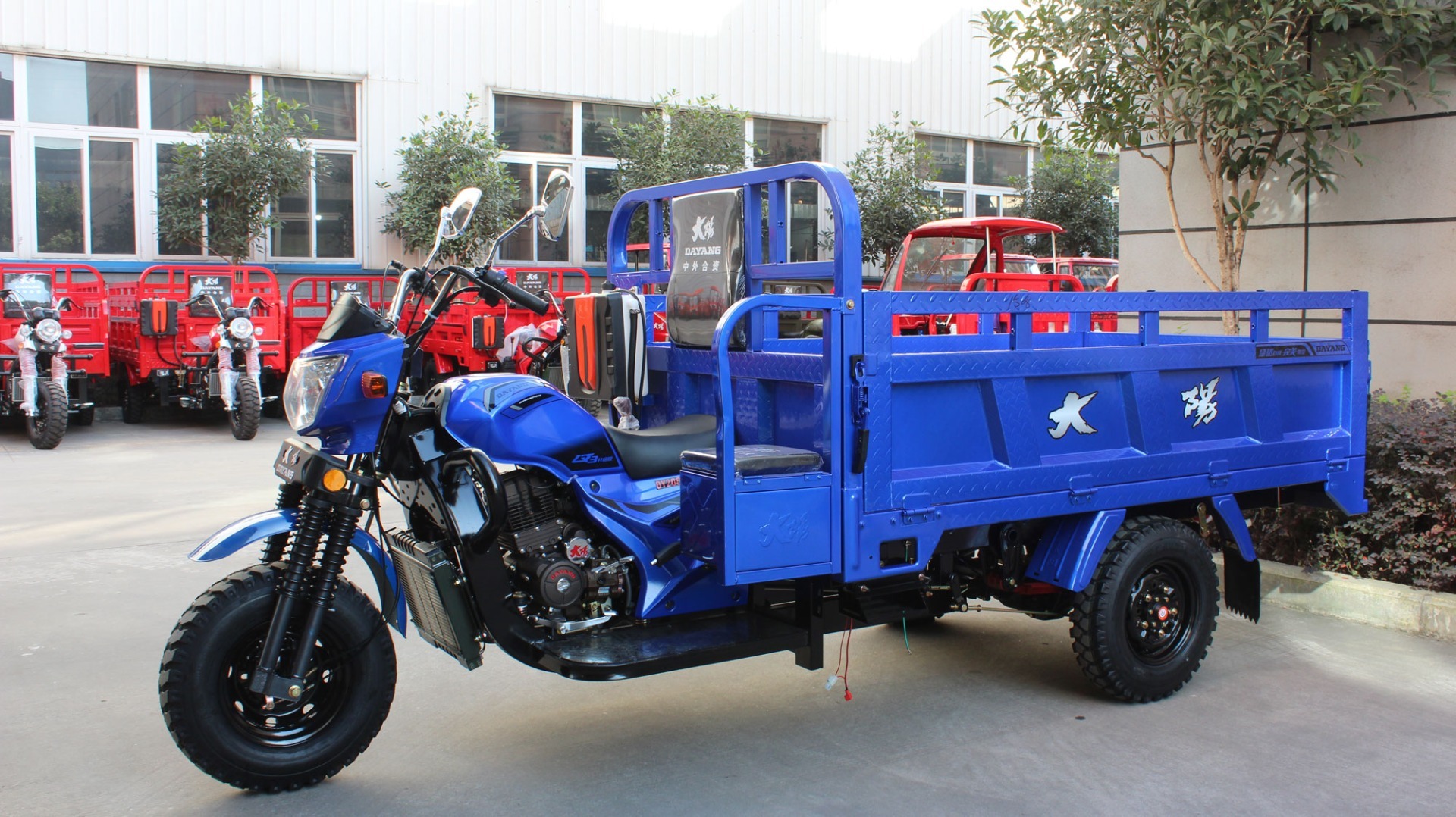 DAYANG OEM Comfortable driving 200cc cargo motorcycle tricycle cargo tricycle motorized