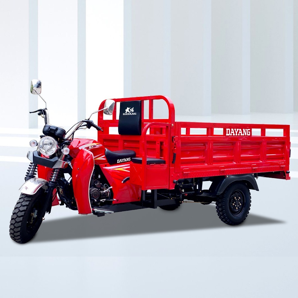 DAYANG OEM High quality 150cc cargo motorcycle tricycle chinese three wheel motorcycle