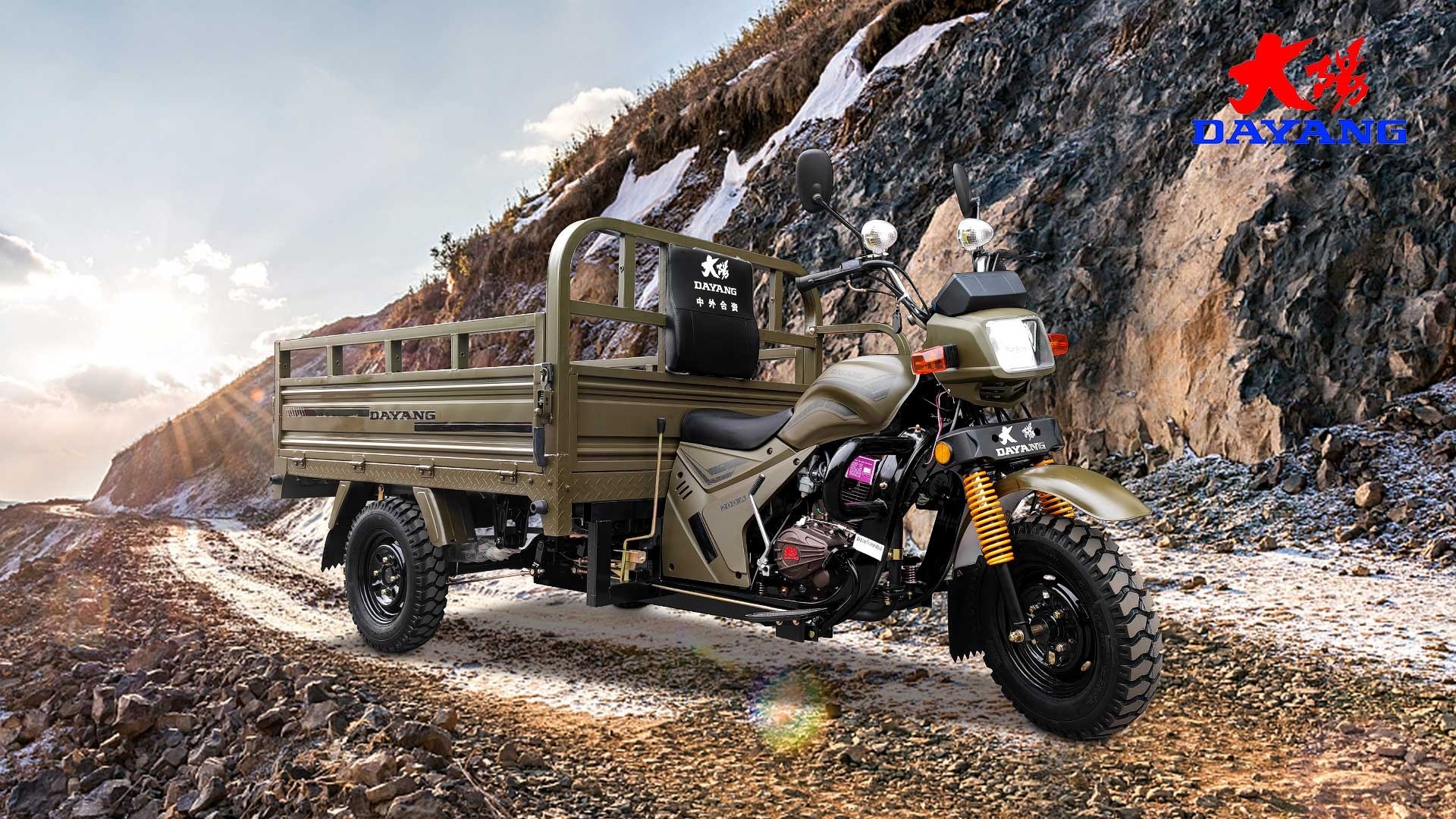 DAYANG OEM High quality 250cc cargo motorcycle tricycle Motorized Three Wheel Cargo Motorcycle