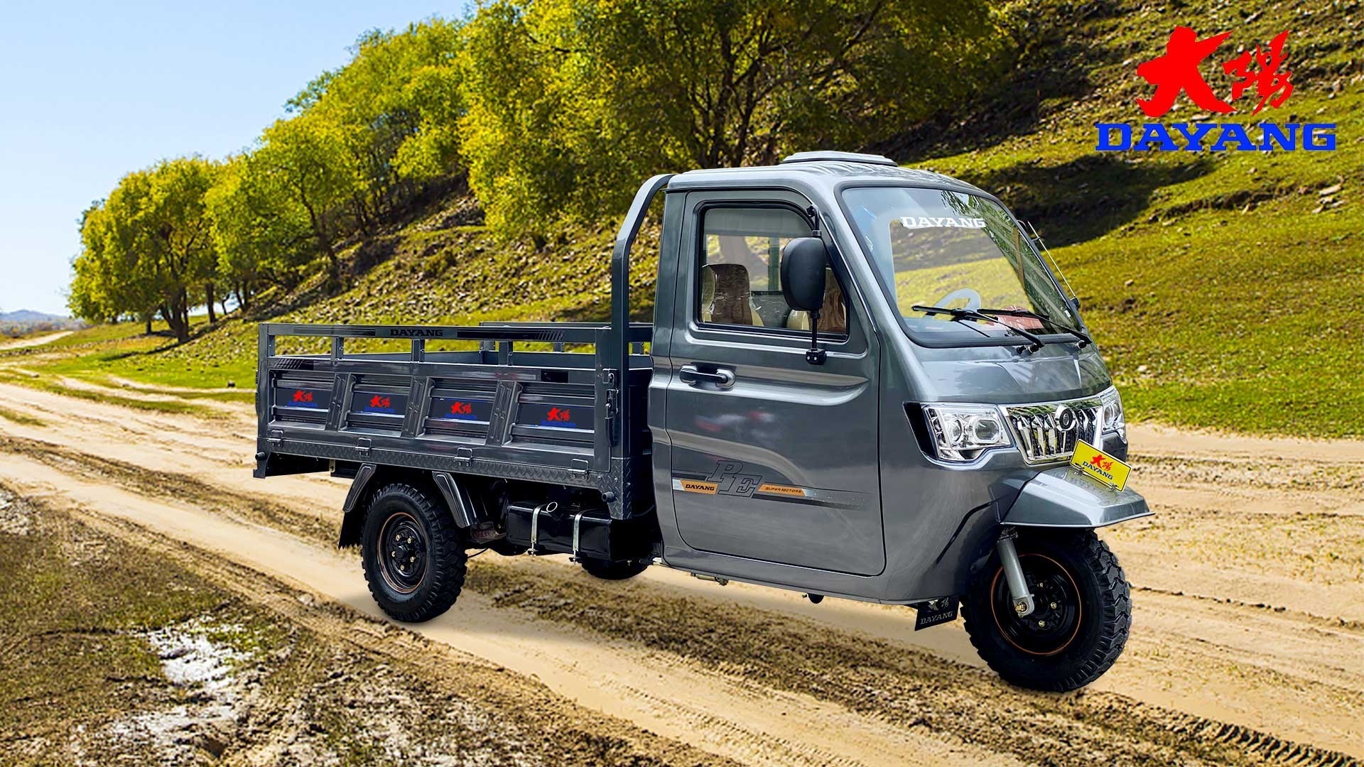 three wheeler cargo tipper