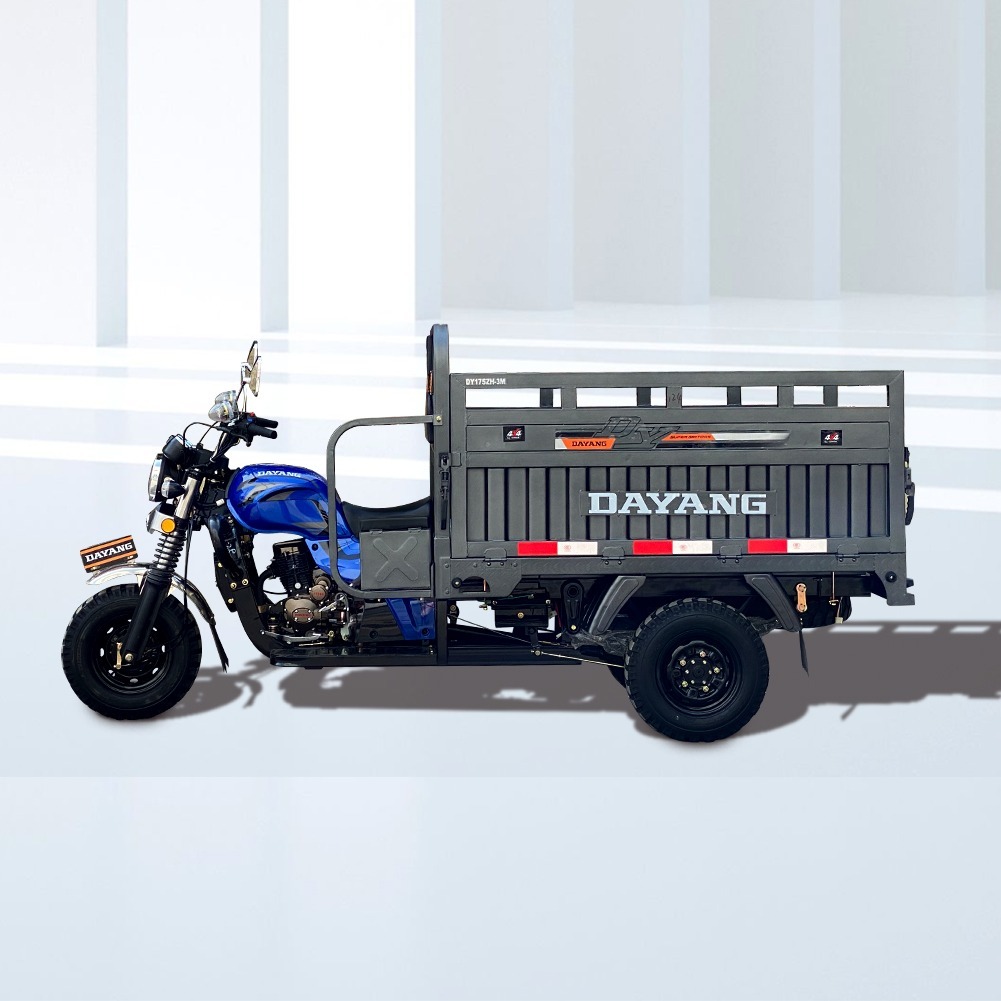 DAYANG OEM High quality 300cc cargo motorcycle tricycle Cargo Trike China