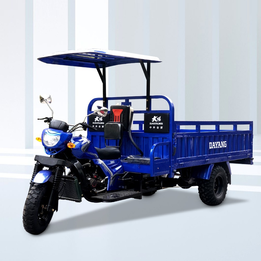 DAYANG OEM High quality 200cc cargo motorcycle tricycle Cargo Tricycle with Shaft