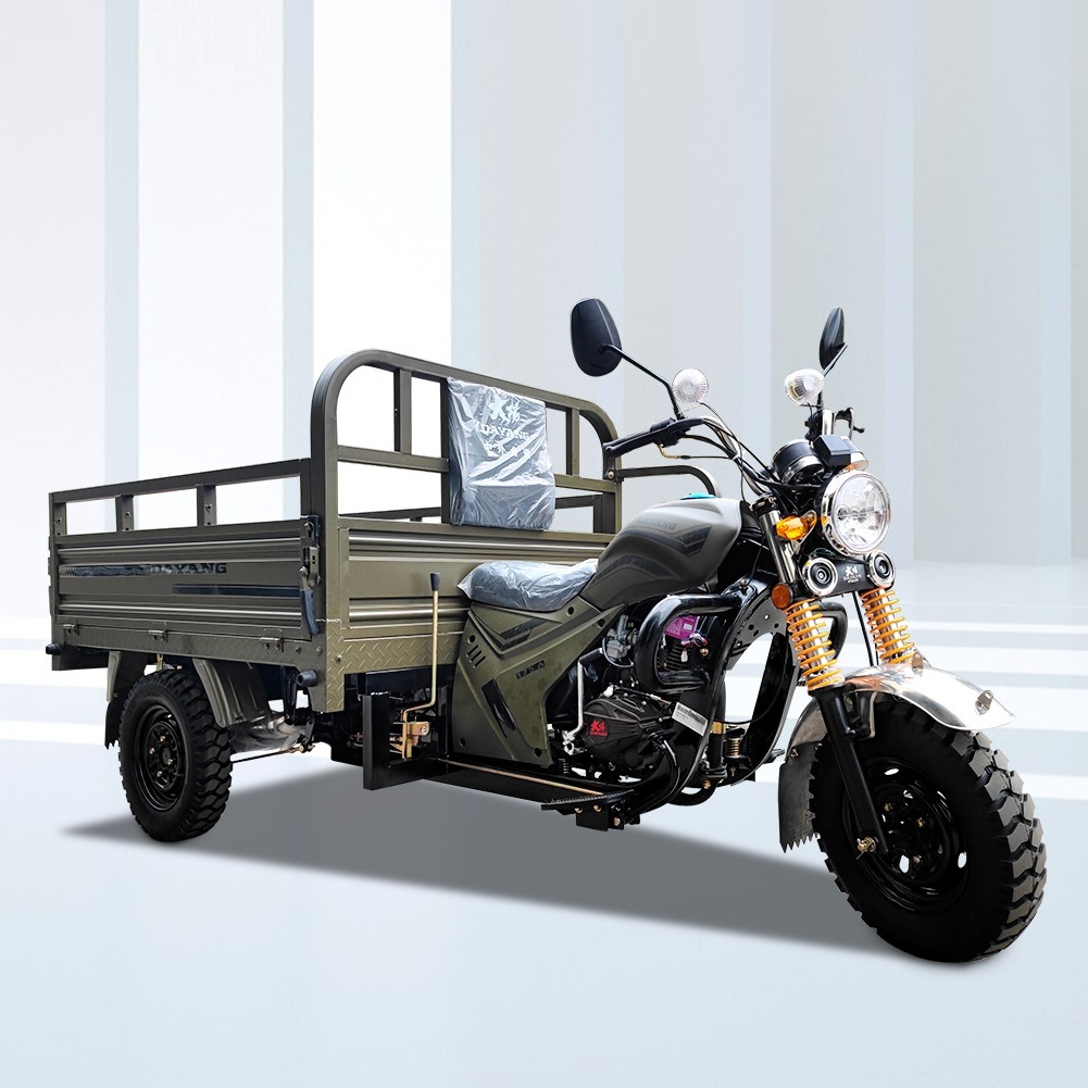 DAYANG OEM High quality 150cc cargo motorcycle tricycle Cargo Motor Tricycle with Cabin