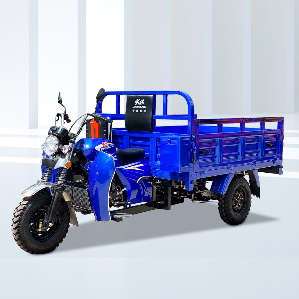 Dayang Brand 200cc Water Cooled Tricycle Cargo Tricycles 3 Tires Tricycle Motorcycle Export To African Market