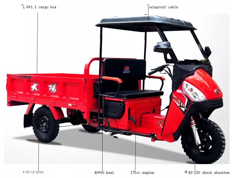 Africa Comfortable driving 200cc cargo motorcycle tricycle Double Rear Wheel Cargo Tricycle