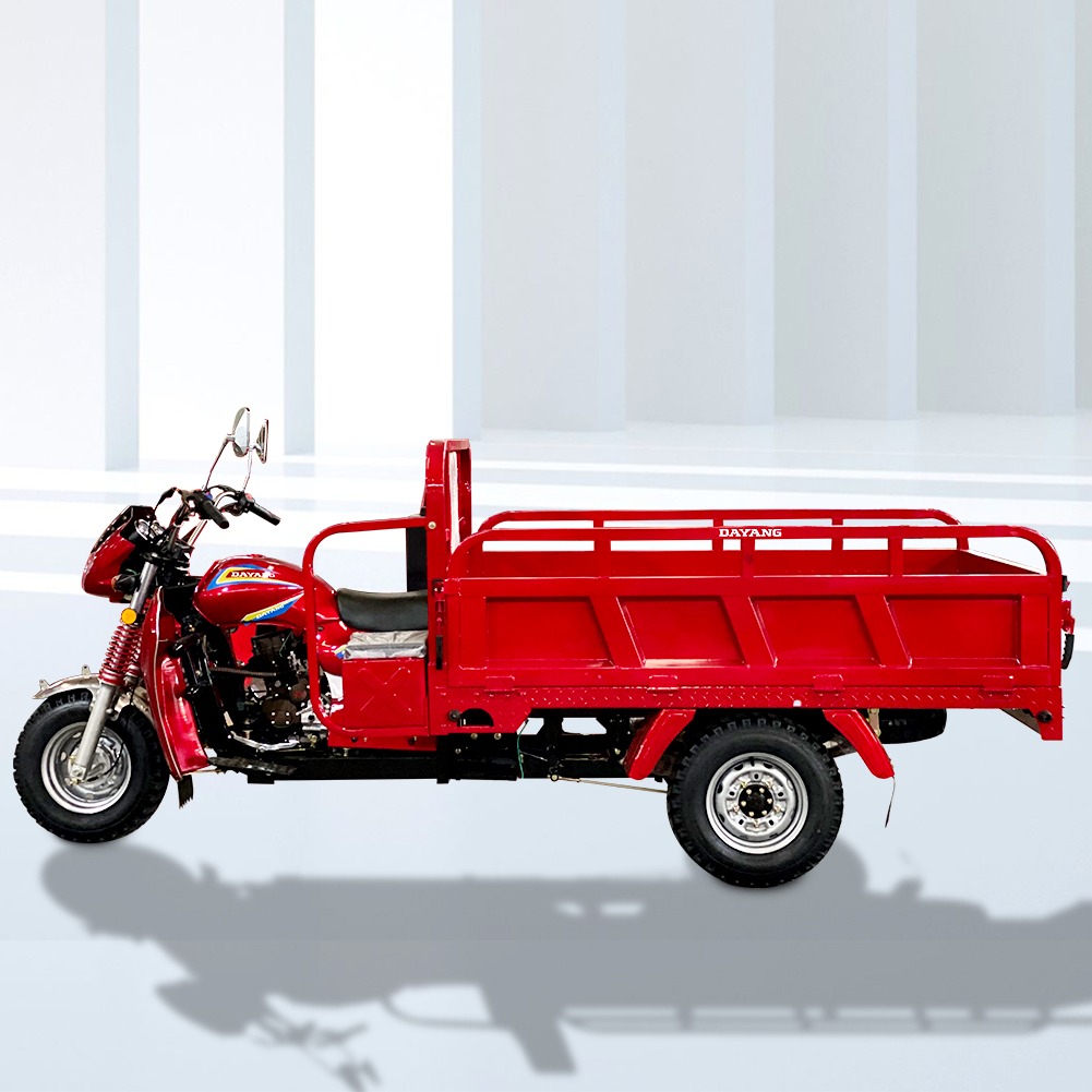 China Factory Tricycle Cargo Tricycle Heavy Loading Rickshaw 300cc Water Cooled Engine For Global Market