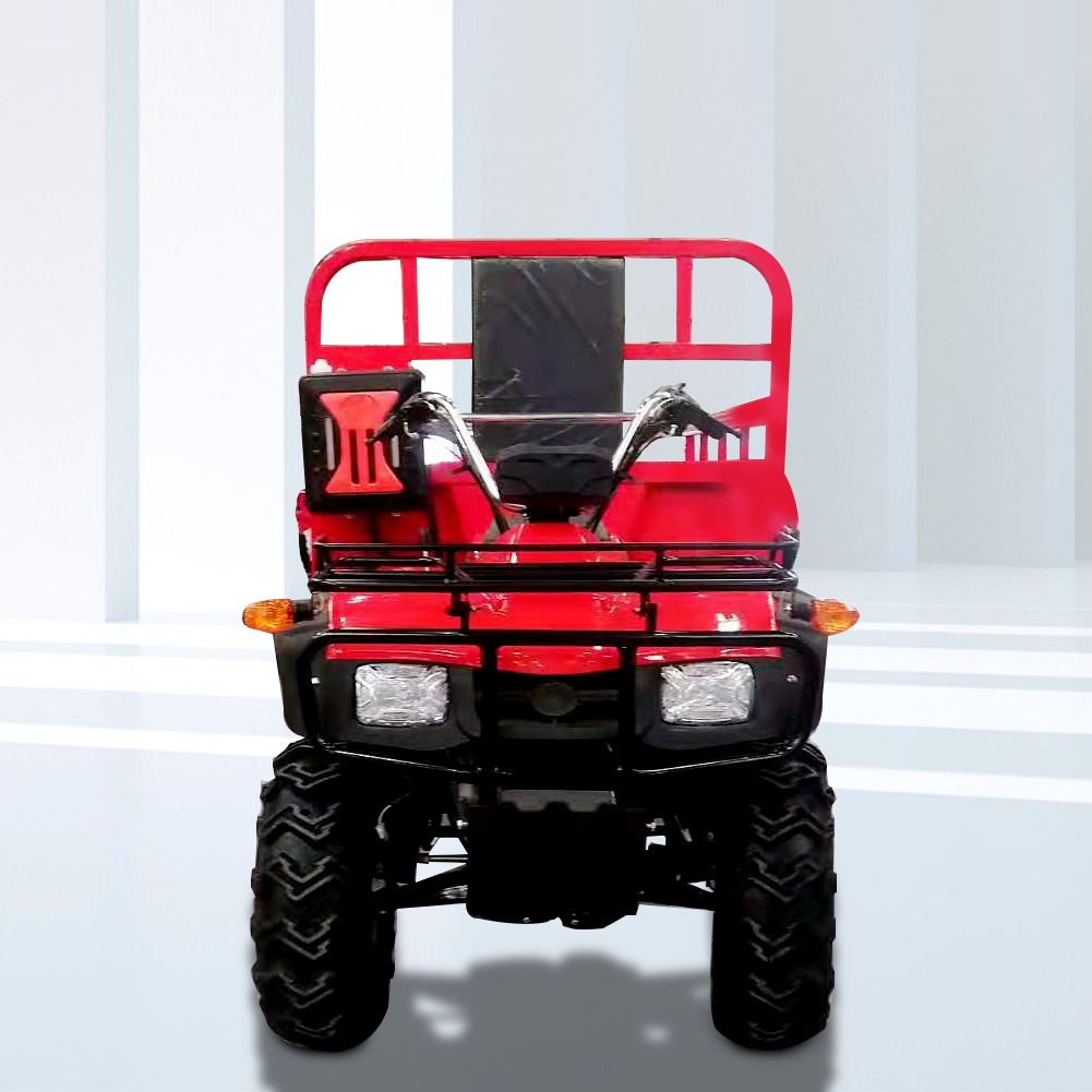 Gasoline Hot Selling Tanzania 4 Wheels Adults 300cc 4 Stroke High Quality Dune Buggy Cargo Framing Atv