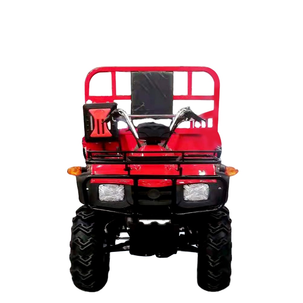 Dayang Hot Selling Tanzania 4 Wheel Adults 300cc 4 Stroke High Quality Dune Buggy Cargo Framing Atv