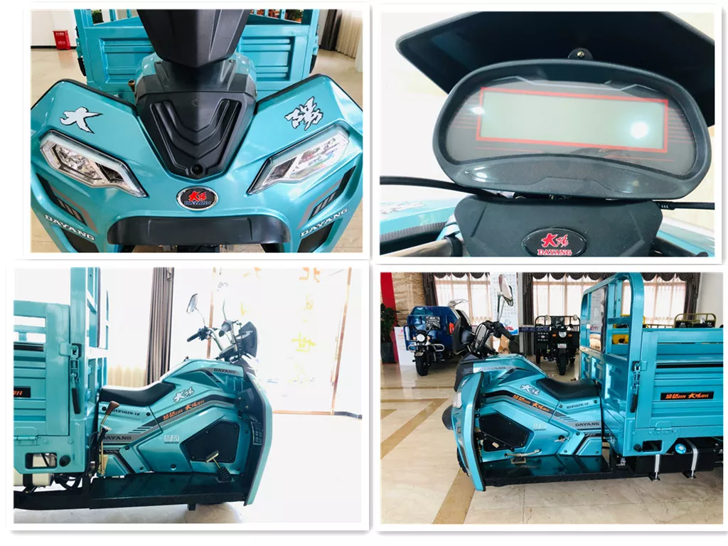 Fashion Design 250cc Motorized Cargo Tricycle Motor Other Tricycles 3 Wheel Motorcycle Trike Gasoline By Chinese Factory