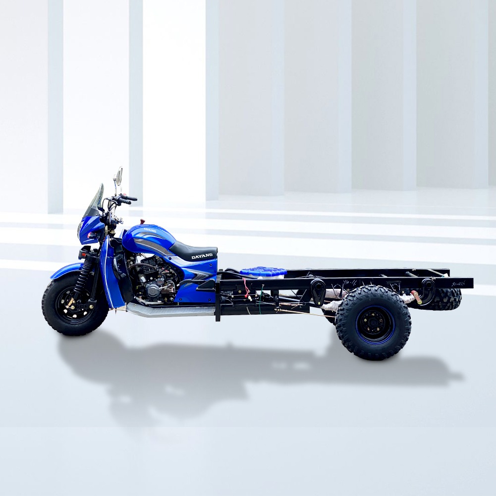 Dayang  New 70km/h Rase 300cc Petrol Three Wheels Cargo Tricycle With 5.5-12 Big Sand Tire For Global Market