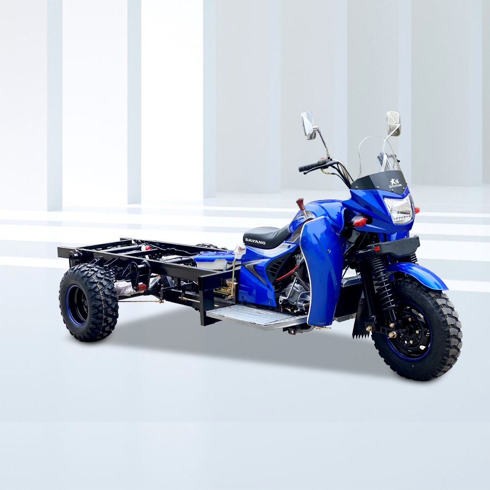 Dayang  New 70km/h Rase 300cc Petrol Three Wheels Cargo Tricycle With 5.5-12 Big Sand Tire For Global Market