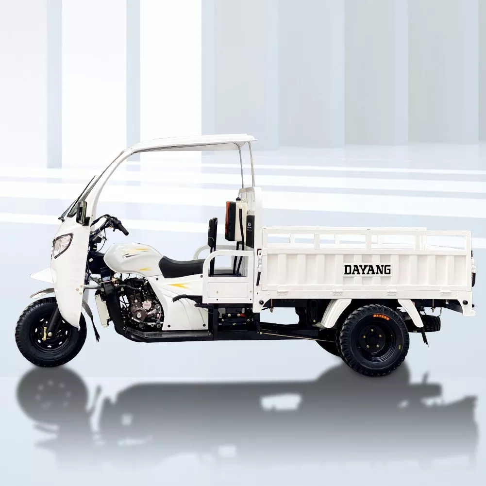 China Dayang Brand 3 Wheel Tricycle Three Wheels Cabin Cargo Tricycle 1 Ton 300cc Cabin Tricycle Open Size