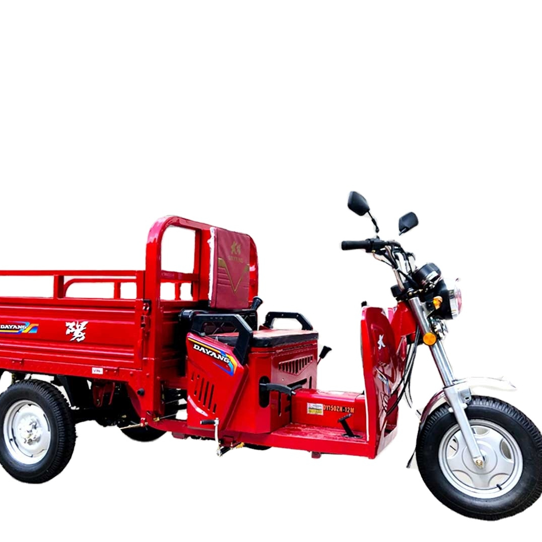 Dayang Motorized Passenger Tricycle 3 Wheel Motorcycle 201-250cc 201 - 250cc Air-cooling Engine Gasoline Open Type For Global