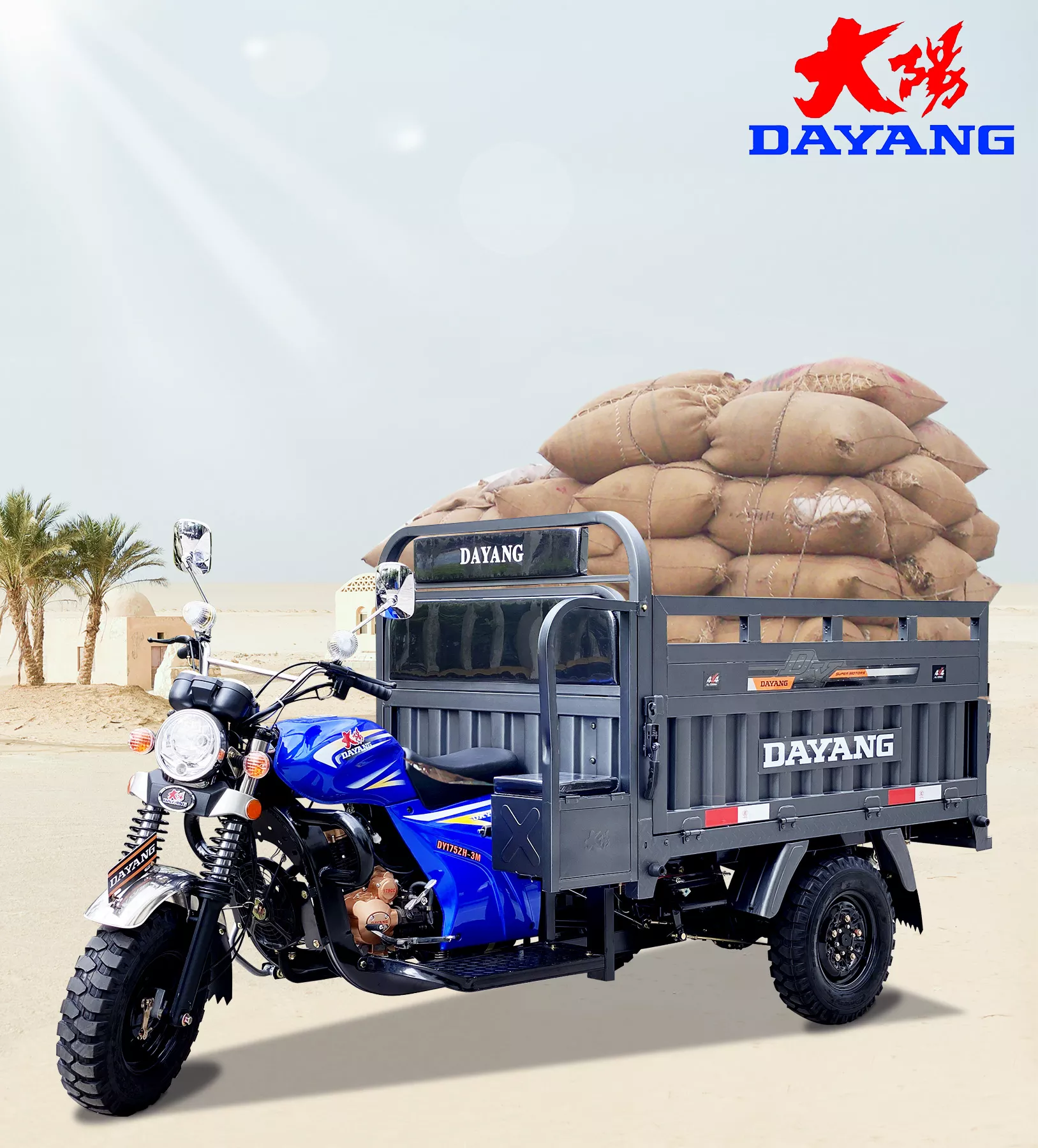 DAYANG OEM Comfortable driving 250cc cargo motorcycle tricycle cargo motor trike