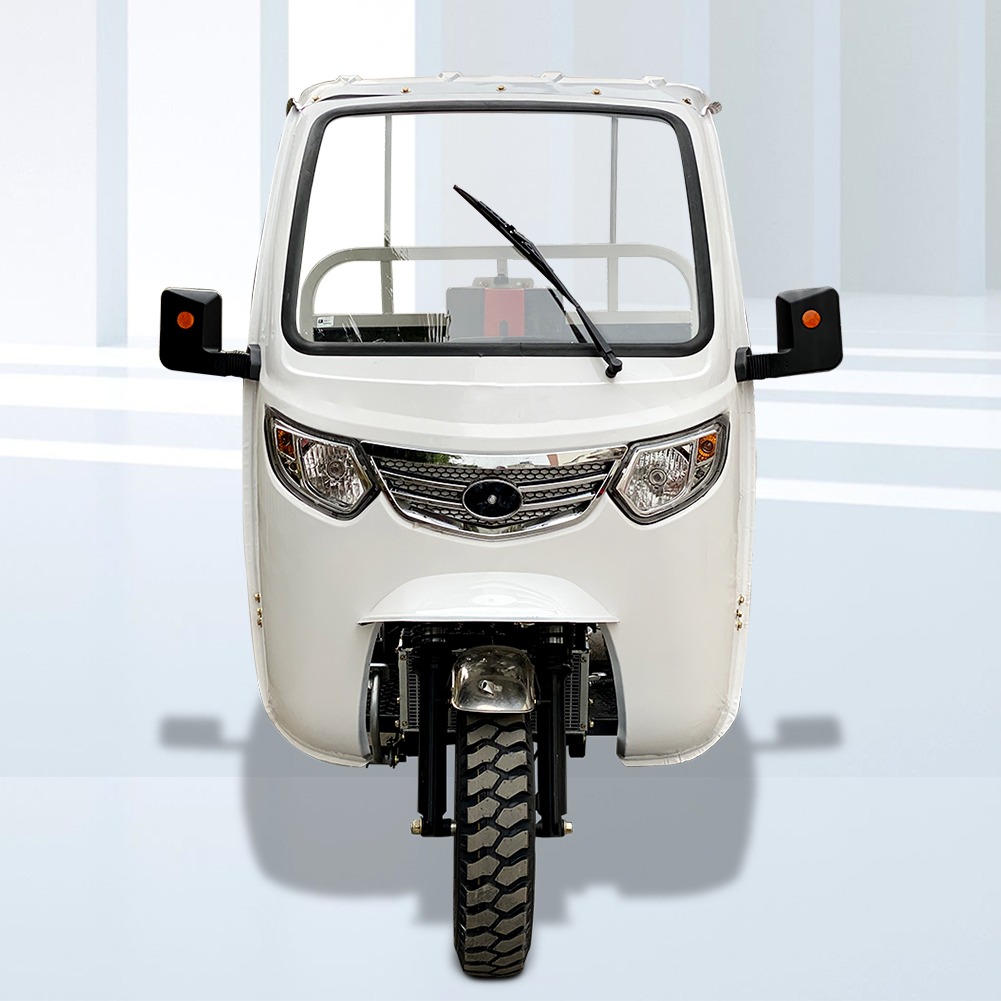 China Dayang Brand 3 Wheel Tricycle Three Wheels Cabin Cargo Tricycle 1 Ton 300cc Cabin Tricycle Open Size