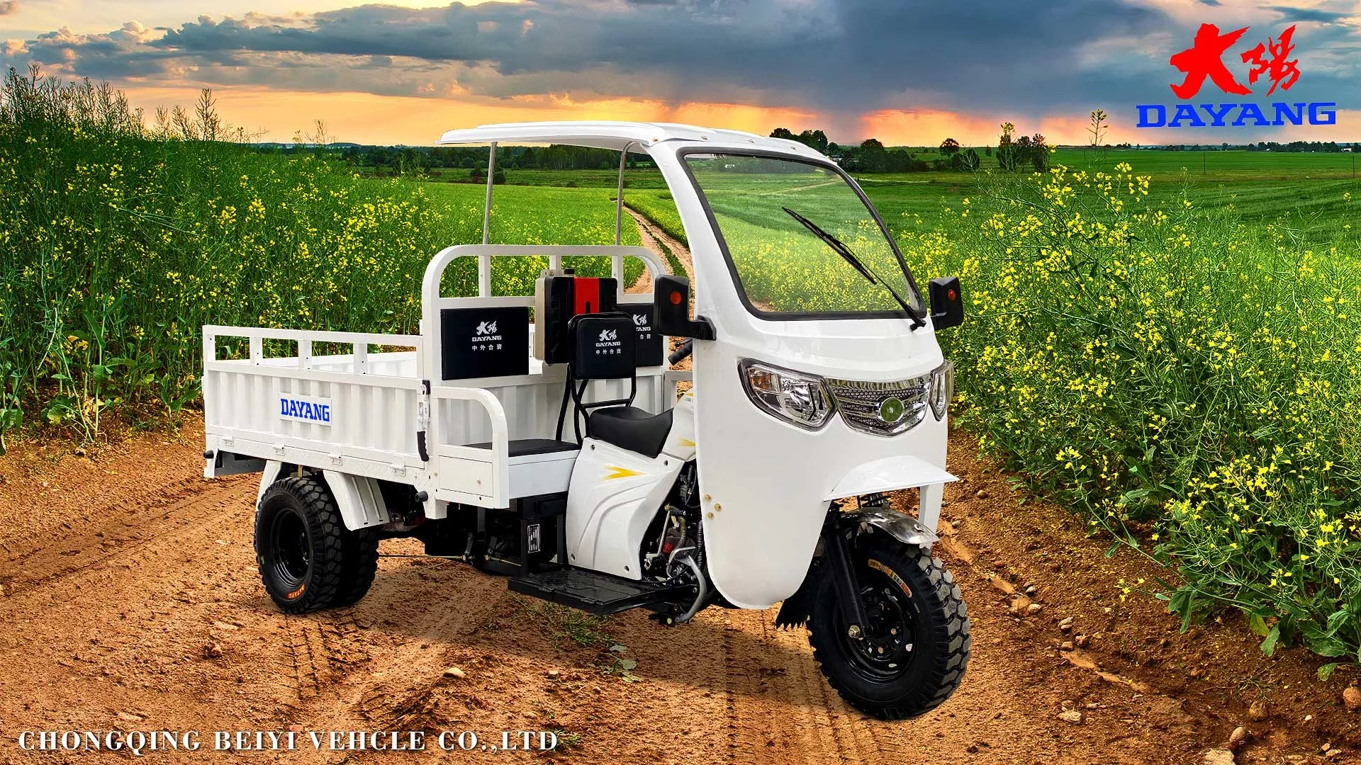 China Dayang Brand 3 Wheel Tricycle Three Wheels Cabin Cargo Tricycle 1 Ton 300cc Cabin Tricycle Open Size