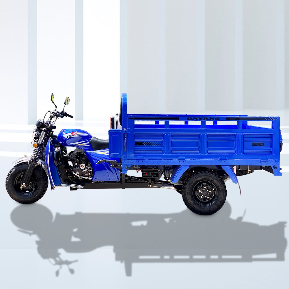 Dayang Brand 200cc Water Cooled Tricycle Cargo Tricycles 3 Tires Tricycle Motorcycle Export To African Market