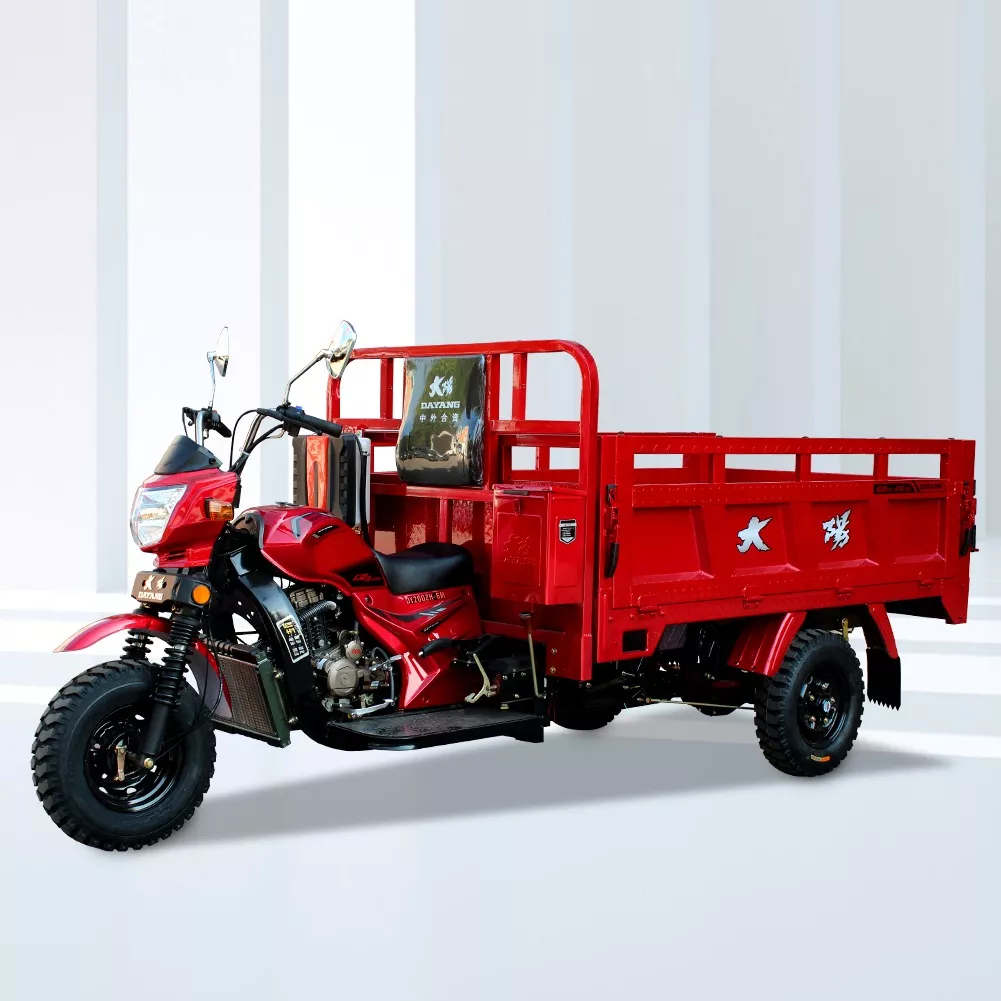 Hot Selling Heavy Loading Tricycle 200cc/250cc/300cc Three Wheel Motorcycle