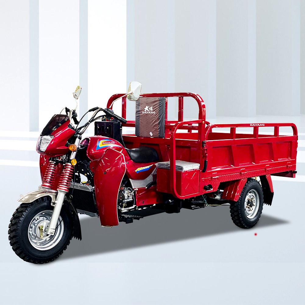 Dayang Brand Tricycle Cargo Tricycle Heavy Loading Rickshaw 300cc Water Cooled Engine For Global Market