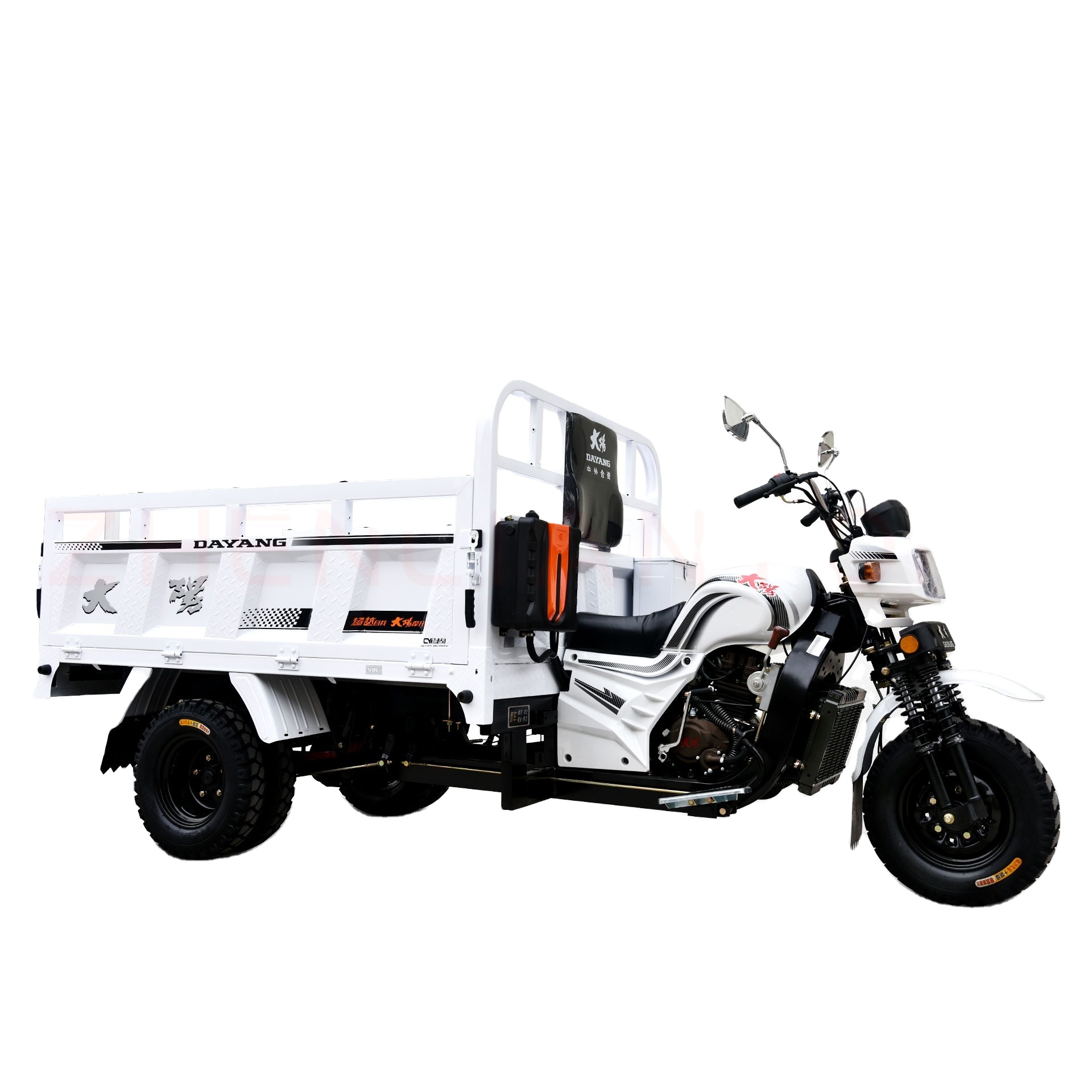 Beiyi DAYANG Brand for Sale China hot sale Motorized Tricycles Cargo Tricycles Engine 150cc175cc 200cc Tricycles For Adult