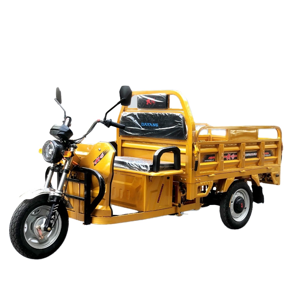 DY-160-1 Cheaper Strong Power 60v 1000w Electric Tricycle Cargo