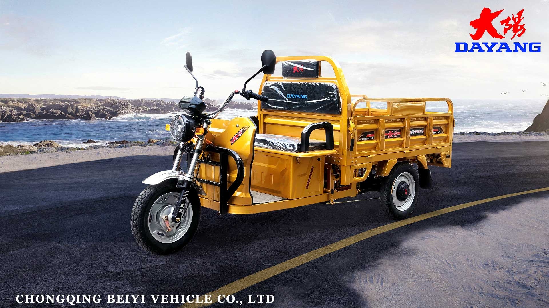 DY-160-1 Cheaper Strong Power 60v 1000w Electric Tricycle Cargo