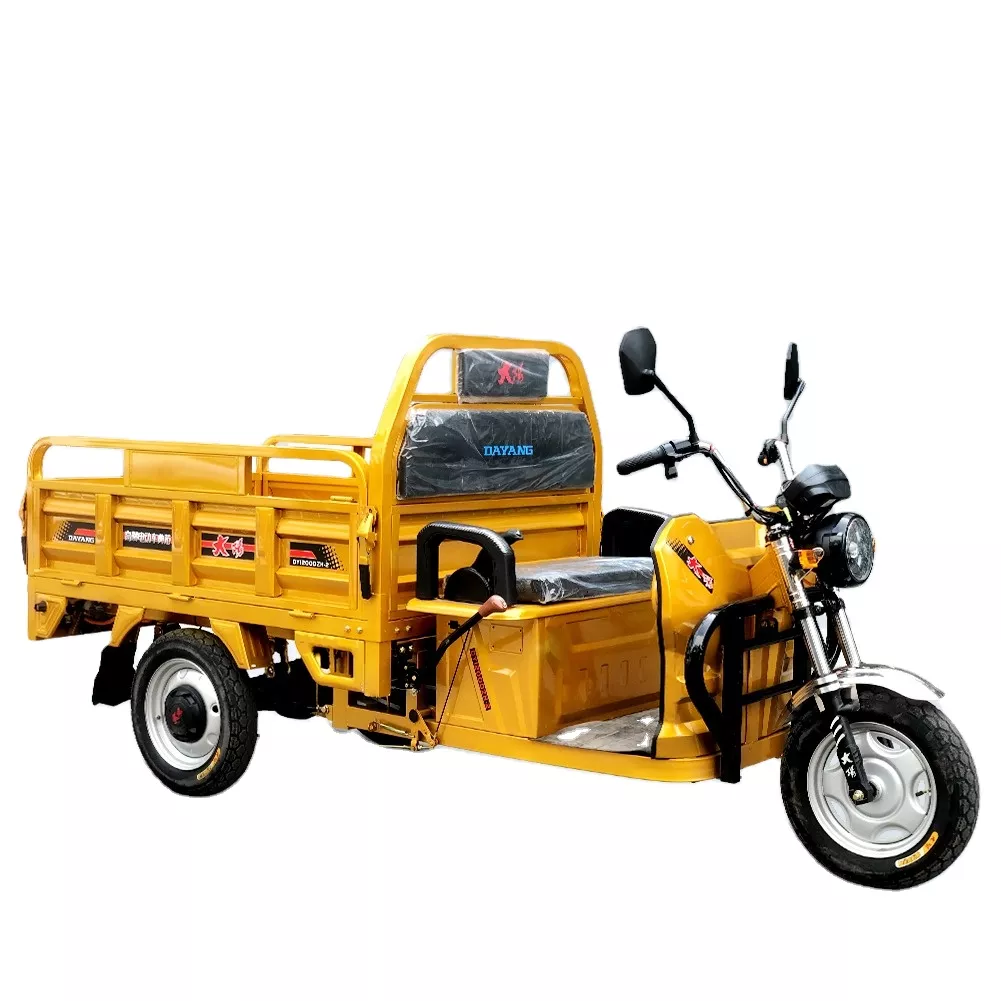 Cargo adult electric tricycle  convenient three  wheels blue motorcycle 1000w 12000w 1500w CCCAfrica cargo tricycle