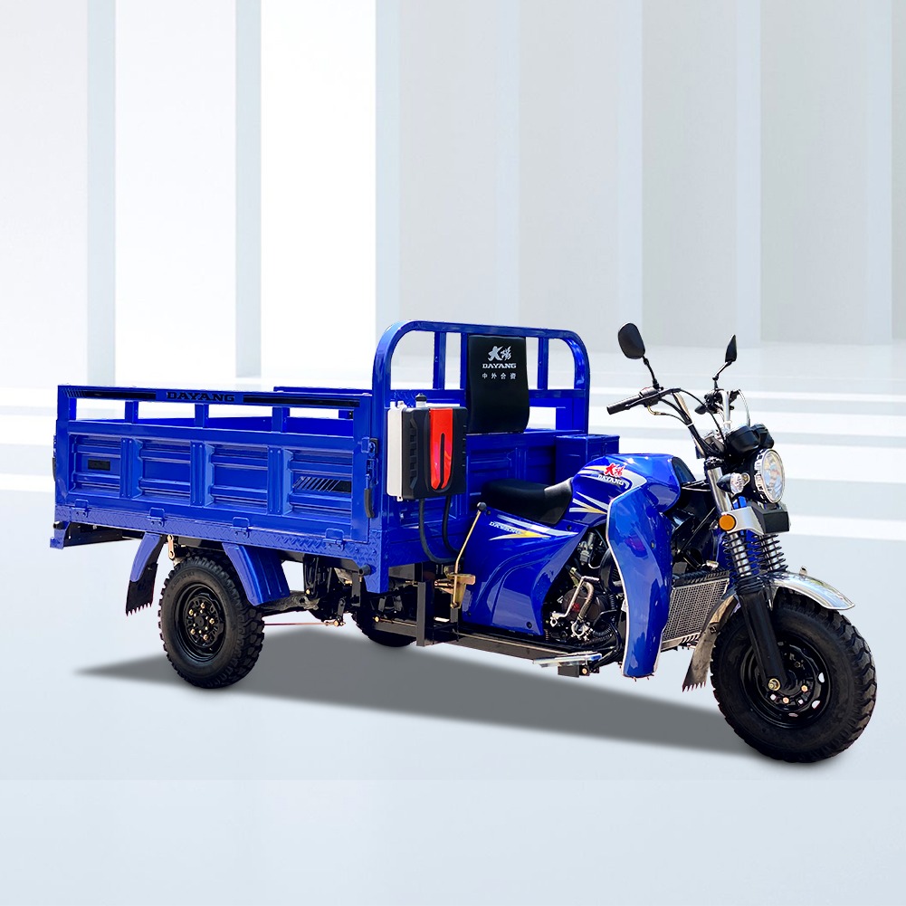 China hot item 2*1.4m cargo box size Tricycle Cargo Tricycles 3 Tires Tricycle Motorcycle Export To African Market