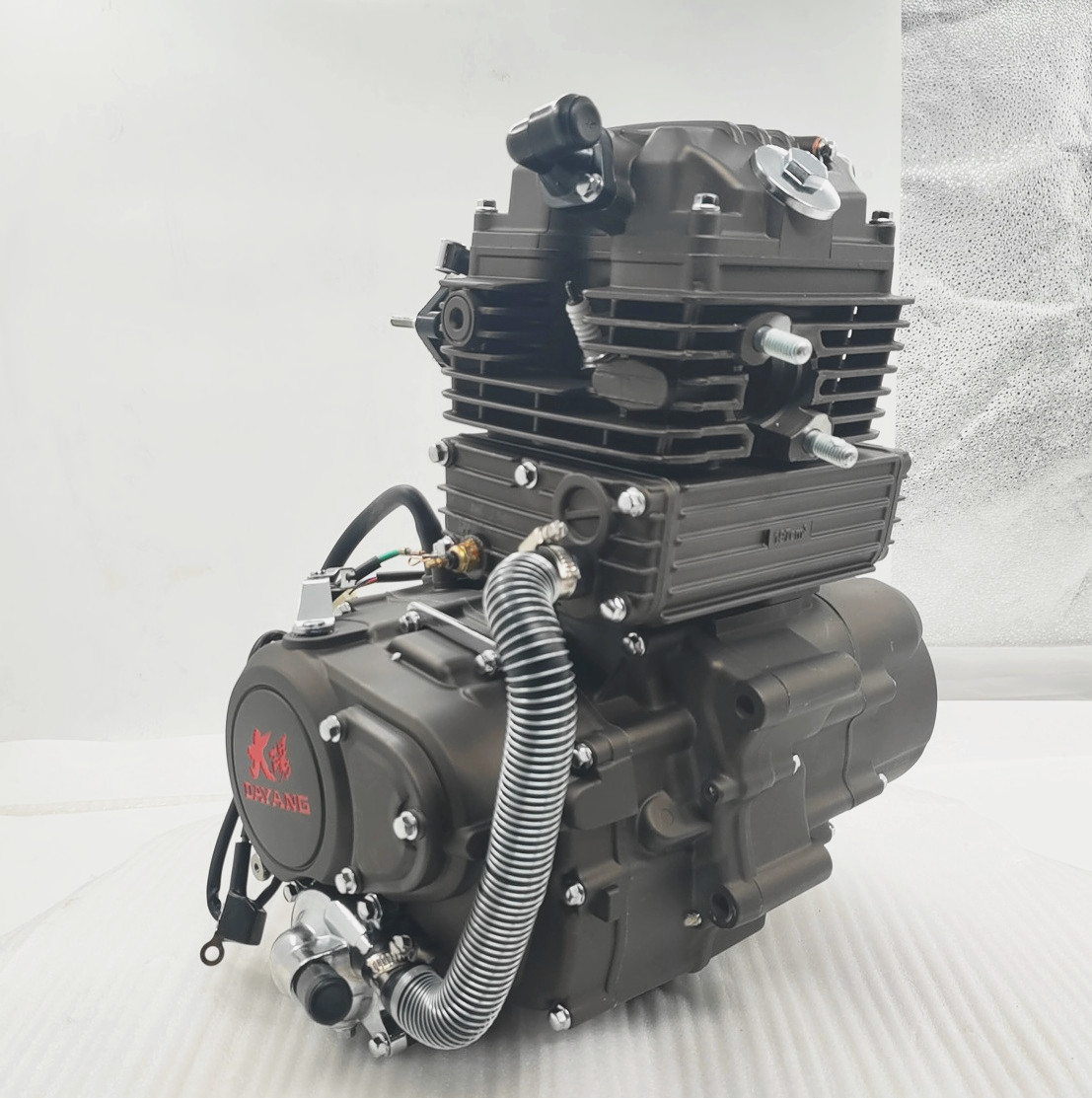 DAYANG LIFAN CG cool 200cc Motorcycle Engine Assembly Single Cylinder Four Stroke Style China  Origin Quality CCC