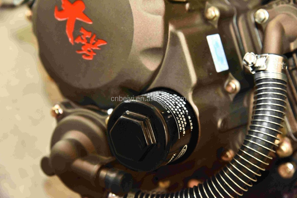 Hot Sale Chongqing Lifan/LONCIN/DAYANG/ZONGSHEN 250cc Air-Cooled Gasoline Engine