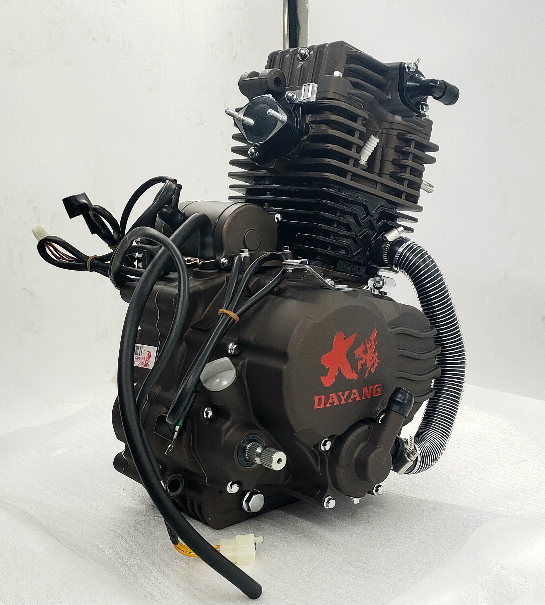 DAYANG 200cc Water-cooled Petrol 3 Wheels Motorcycle Engine Assembly Engine Suit 1 Cylinder 4 Stroke Engine Parts 31 CDI