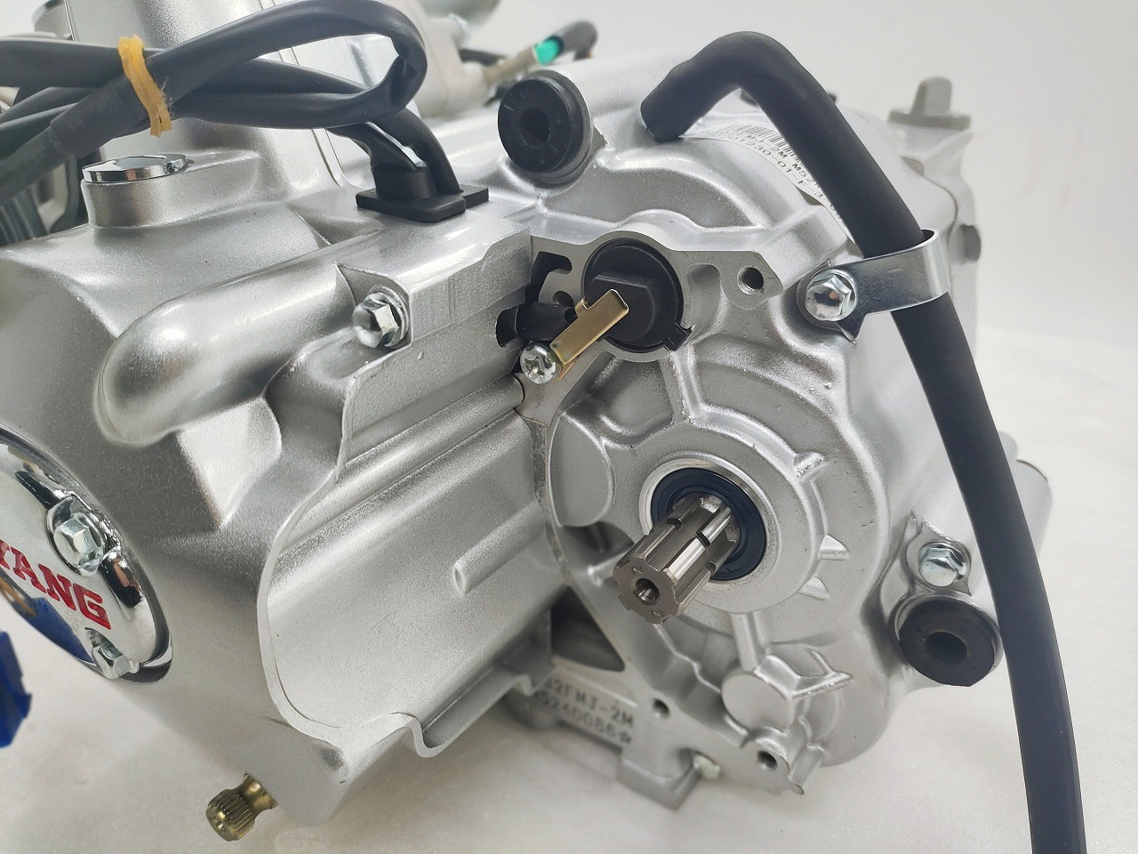 DAYANG Complete Motorcycle Nature 110CC air cooling  Engine China 1Cylinder Style  Origin High Quality Ignition Style Origin CCC
