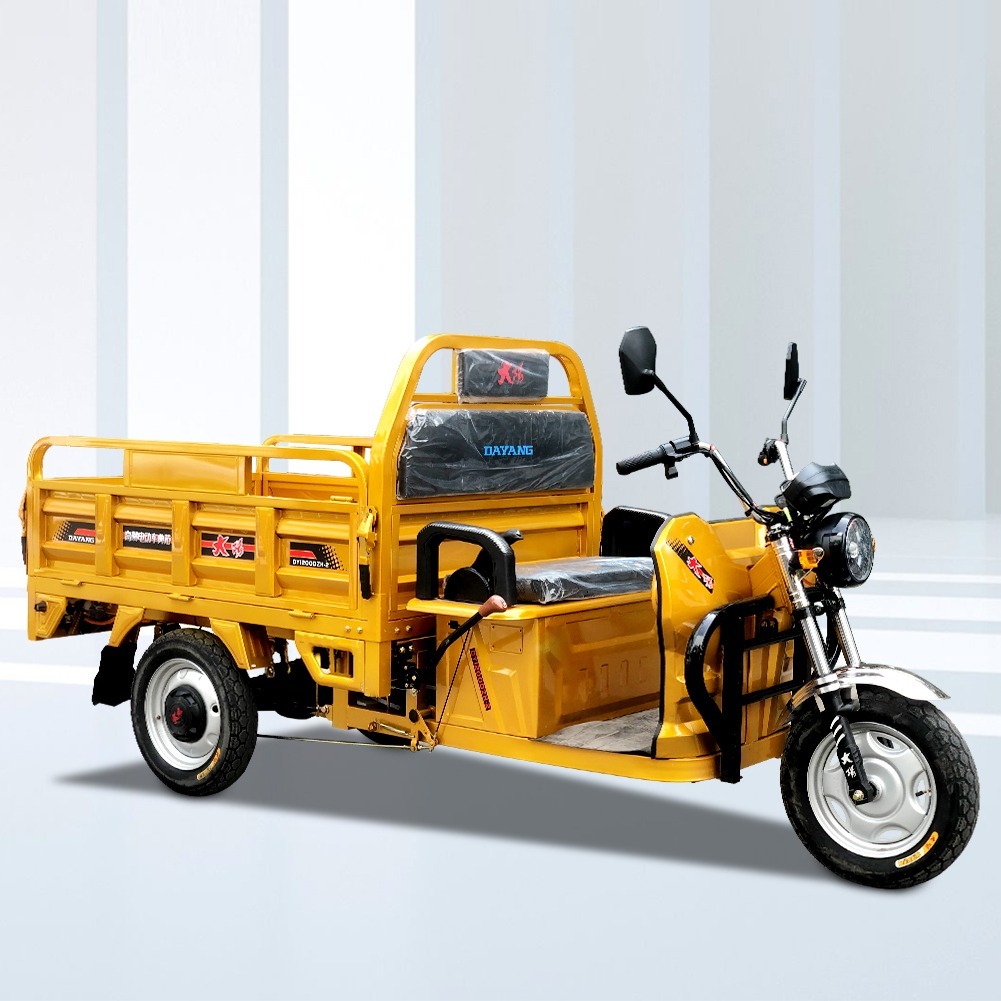 DAYANG Cheap Adults 3 Wheel Electric Tricycle Price Shipping China Max Body Customized Motor Power Battery Color Brake Origin