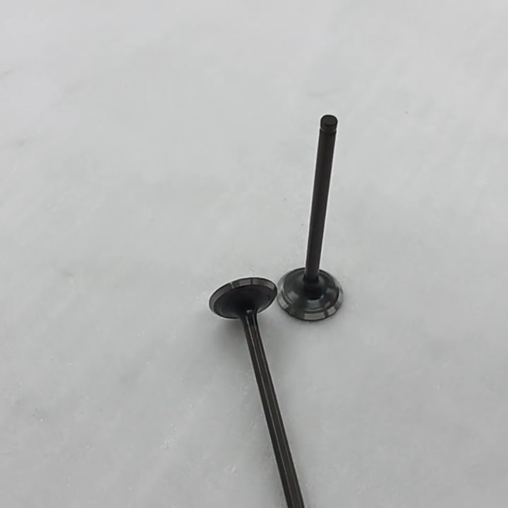 2021 Hot sale different kinds of high cost performance water-cooled Vertical Type  Engine assembly exhaust valve for selling