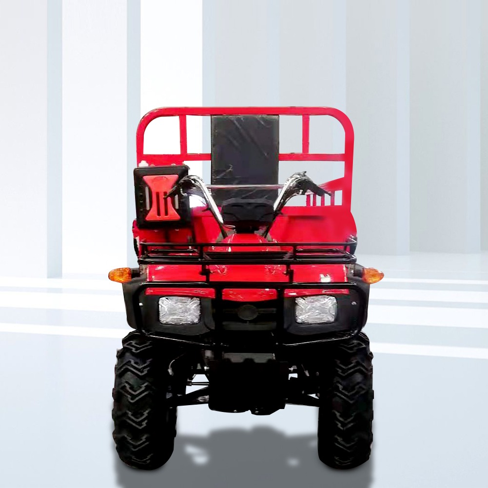 2021 Gasoline Hot Selling wholesale 4 Wheels Adults 300CC 4 stroke High Quality Dune Buggy Cargo Framing ATV
