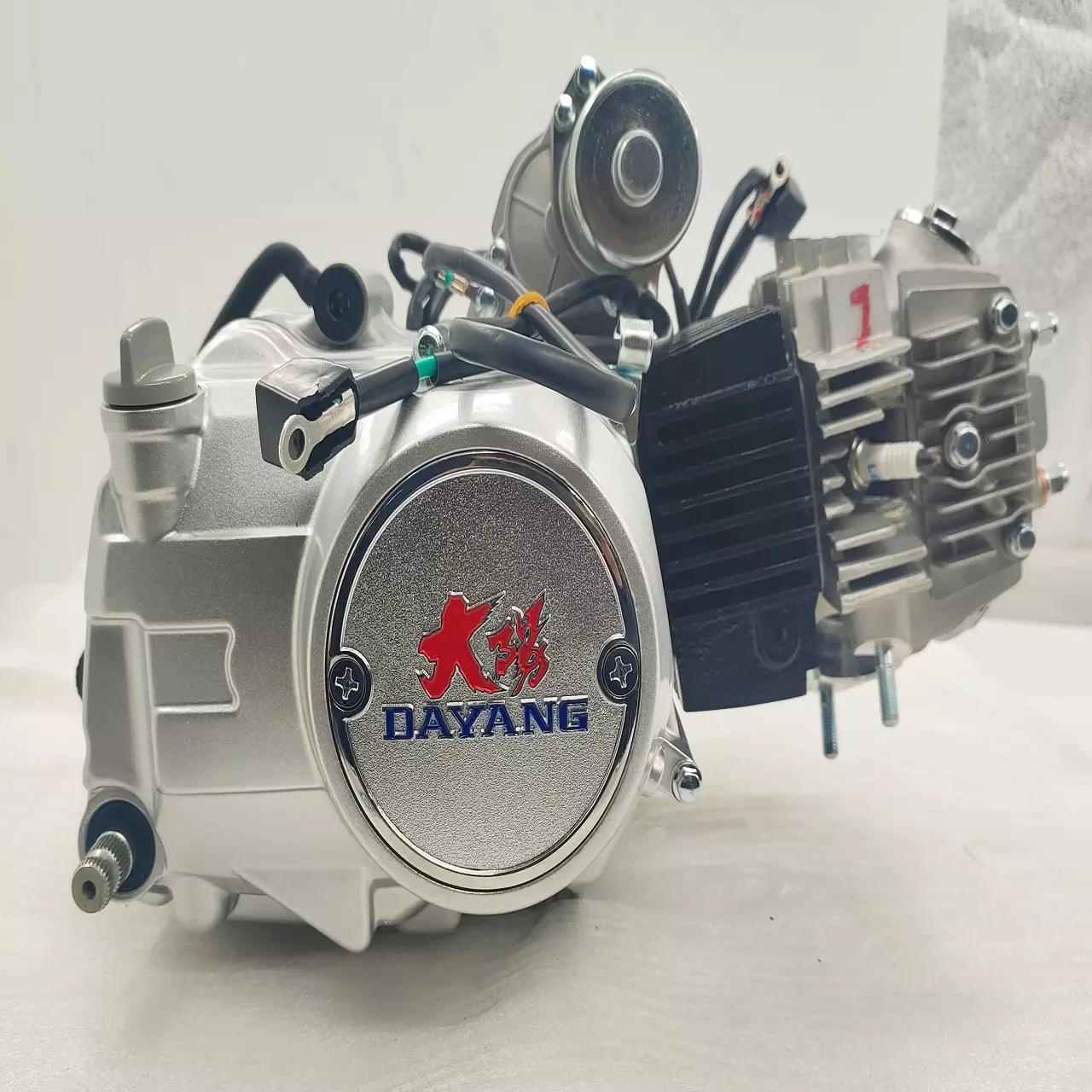 DAYANG Complete Motorcycle  Nature 110CC Engine China Cylinder Style A Class Origin High Quality Ignition Style Origin CCC