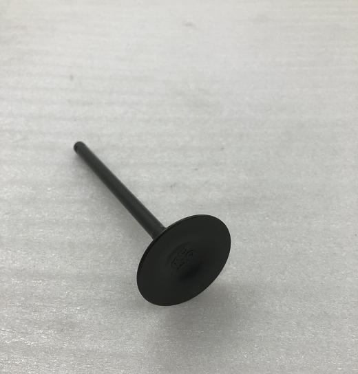 High quality Motorcycle Tricycle CG200cc engine exhaust valve Material Origin Iron Type Place Model for global market