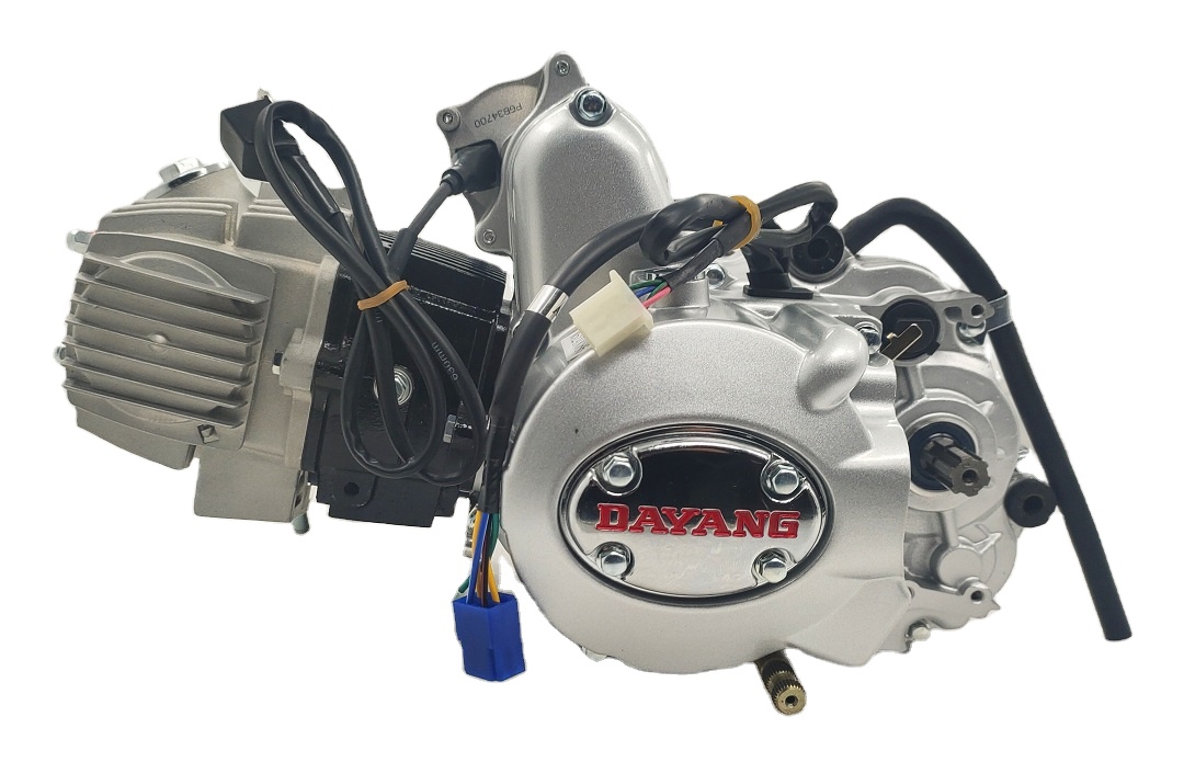DAYANG Complete Motorcycle  Nature 110CC Engine China Cylinder Style A Class Origin High Quality Ignition Style Origin CCC